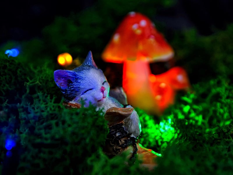Magical Forest Decor